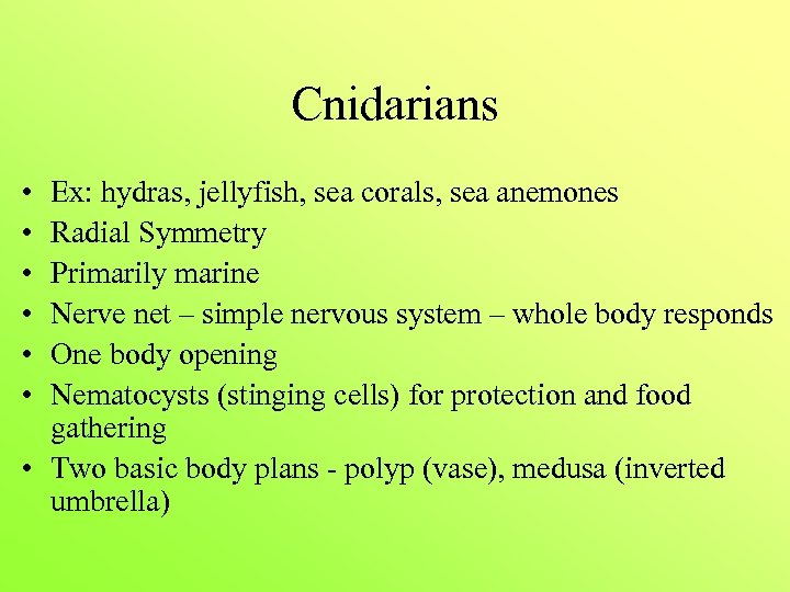 Cnidarians • • • Ex: hydras, jellyfish, sea corals, sea anemones Radial Symmetry Primarily