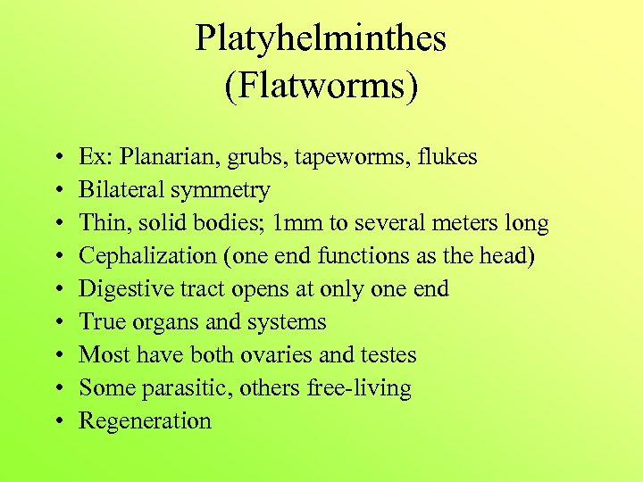 Platyhelminthes (Flatworms) • • • Ex: Planarian, grubs, tapeworms, flukes Bilateral symmetry Thin, solid