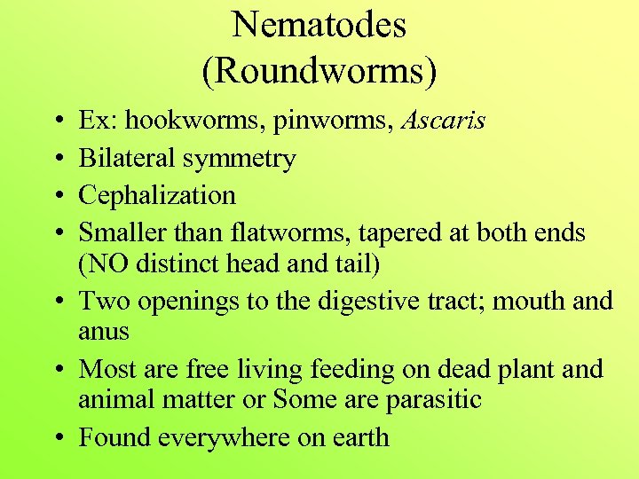 Nematodes (Roundworms) • • Ex: hookworms, pinworms, Ascaris Bilateral symmetry Cephalization Smaller than flatworms,
