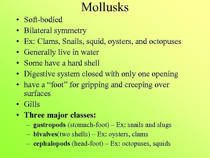Mollusks • • Soft-bodied Bilateral symmetry Ex: Clams, Snails, squid, oysters, and octopuses Generally
