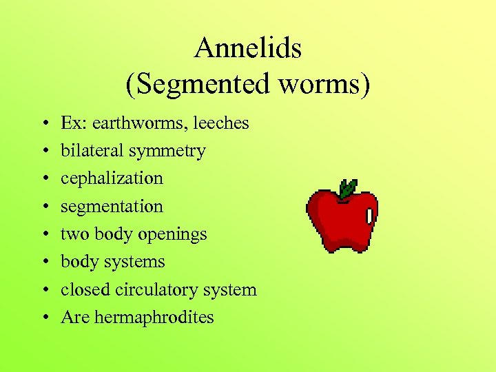 Annelids (Segmented worms) • • Ex: earthworms, leeches bilateral symmetry cephalization segmentation two body