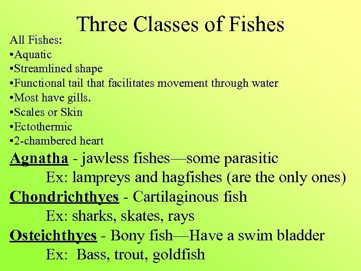 Three Classes of Fishes All Fishes: • Aquatic • Streamlined shape • Functional tail