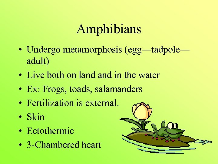 Amphibians • Undergo metamorphosis (egg—tadpole— adult) • Live both on land in the water