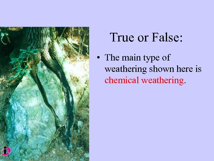 True or False: • The main type of weathering shown here is chemical weathering.