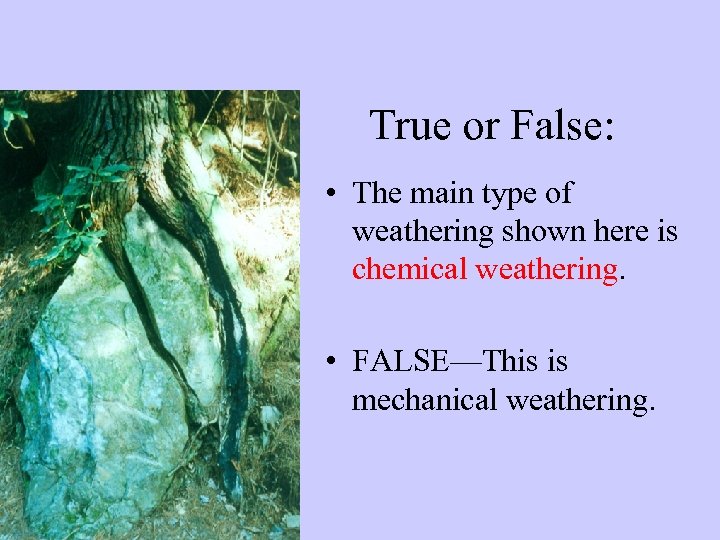 True or False: • The main type of weathering shown here is chemical weathering.