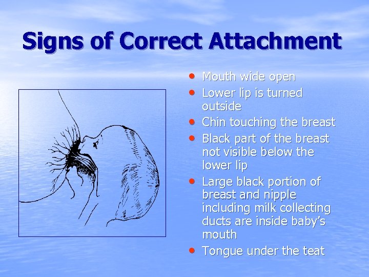 Signs of Correct Attachment • Mouth wide open • Lower lip is turned •