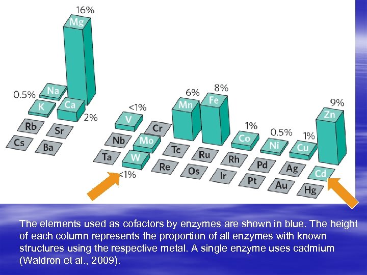 The elements used as cofactors by enzymes are shown in blue. The height of