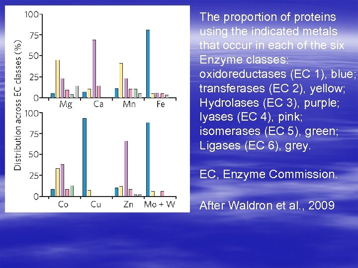 The proportion of proteins using the indicated metals that occur in each of the