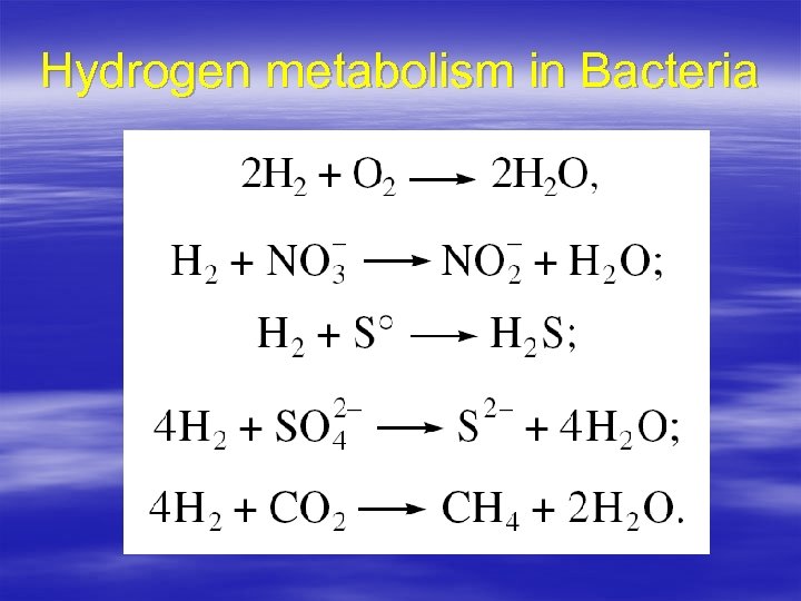 Hydrogen metabolism in Bacteria 