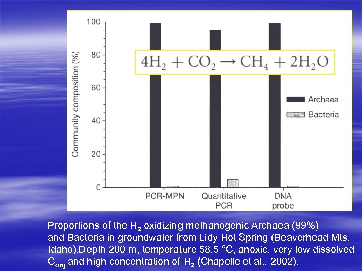 Proportions of the H 2 oxidizing methanogenic Archaea (99%) and Bacteria in groundwater from