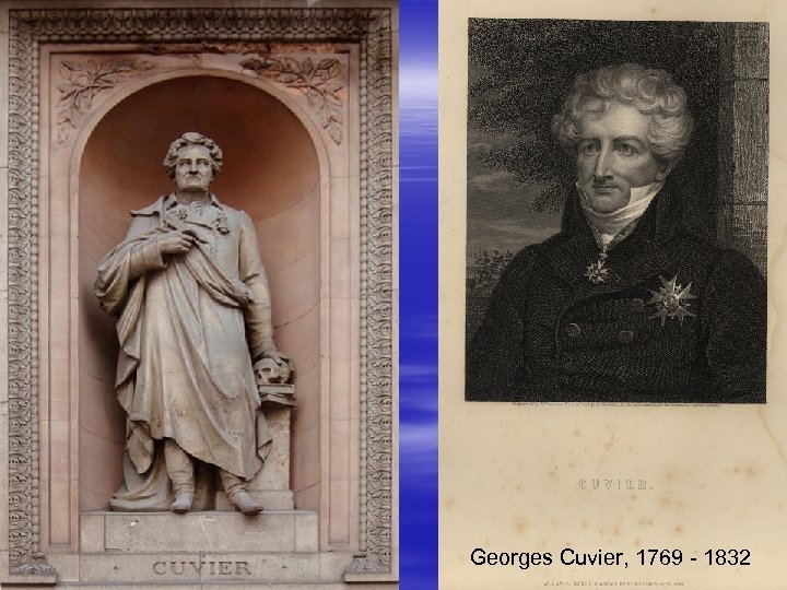 Georges Cuvier, 1769 - 1832 