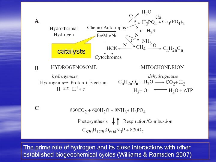 catalysts The prime role of hydrogen and its close interactions with other established biogeochemical