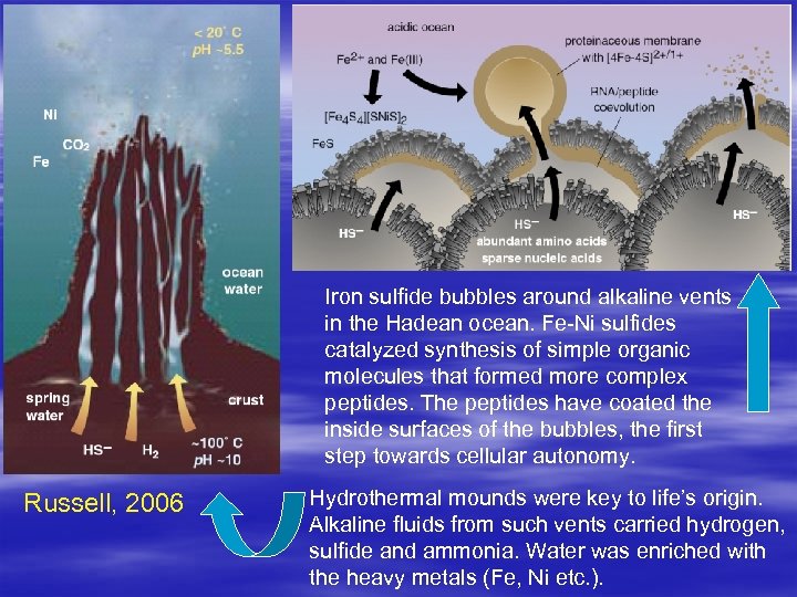 Iron sulfide bubbles around alkaline vents in the Hadean ocean. Fe-Ni sulfides catalyzed synthesis