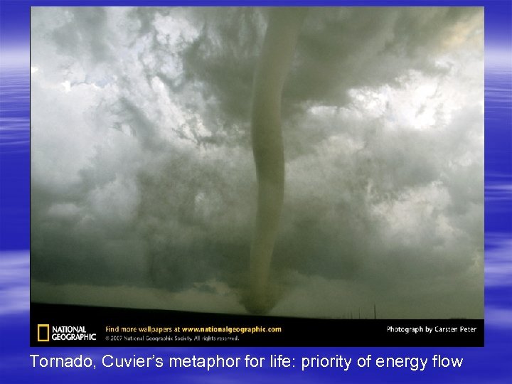 Tornado, Cuvier’s metaphor for life: priority of energy flow 