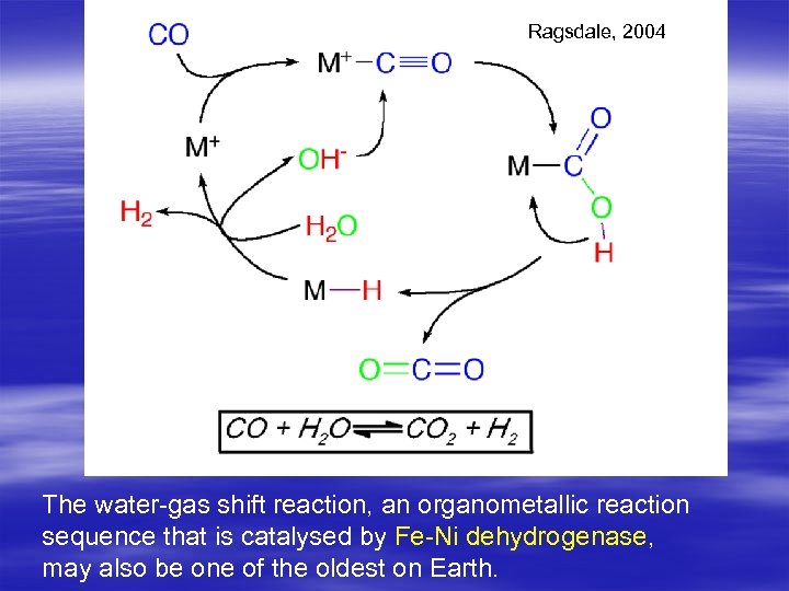 Ragsdale, 2004 The water-gas shift reaction, an organometallic reaction sequence that is catalysed by