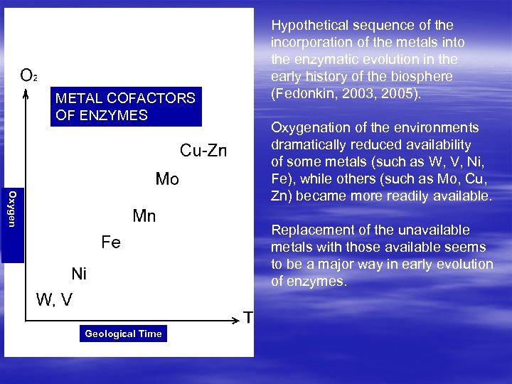 METAL COFACTORS OF ENZYMES Hypothetical sequence of the incorporation of the metals into the