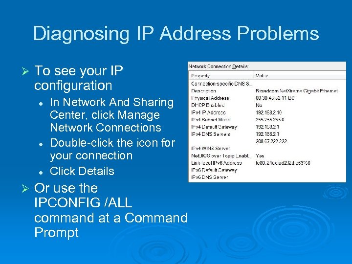 Diagnosing IP Address Problems Ø To see your IP configuration l l l Ø