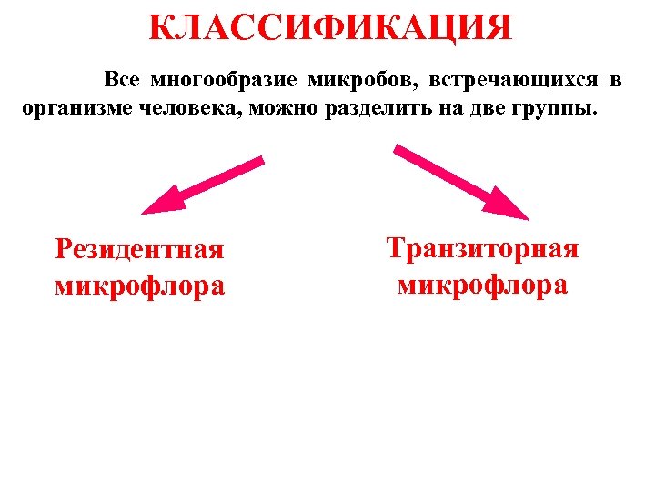 Все многообразие компьютерных программ можно разделить на три группы