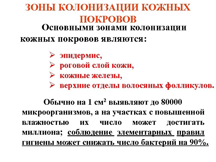 ЗОНЫ КОЛОНИЗАЦИИ КОЖНЫХ ПОКРОВОВ Основными зонами колонизации кожных покровов являются: Ø Ø эпидермис, роговой