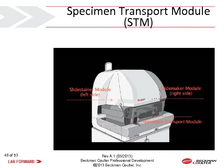 Specimen Transport Module (STM) 49 of 53 Rev A. 1 (03/2013) Beckman Coulter Professional