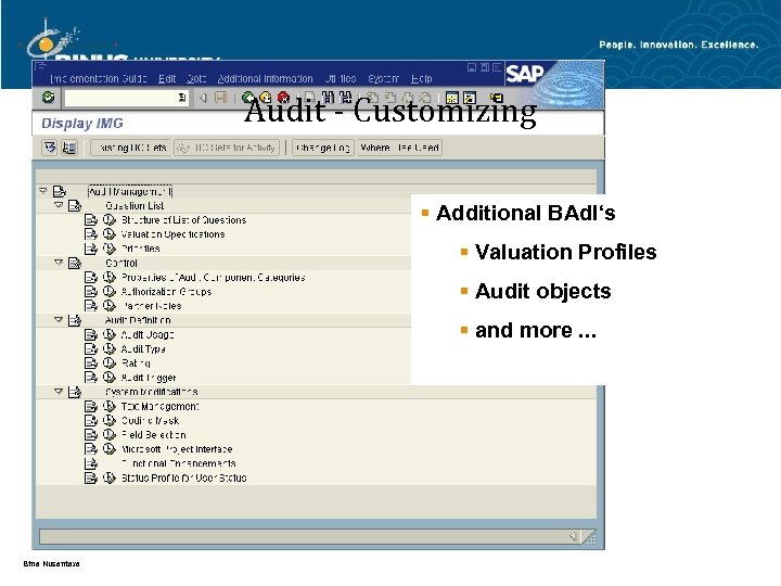 Audit - Customizing § Additional BAd. I‘s § Valuation Profiles § Audit objects §