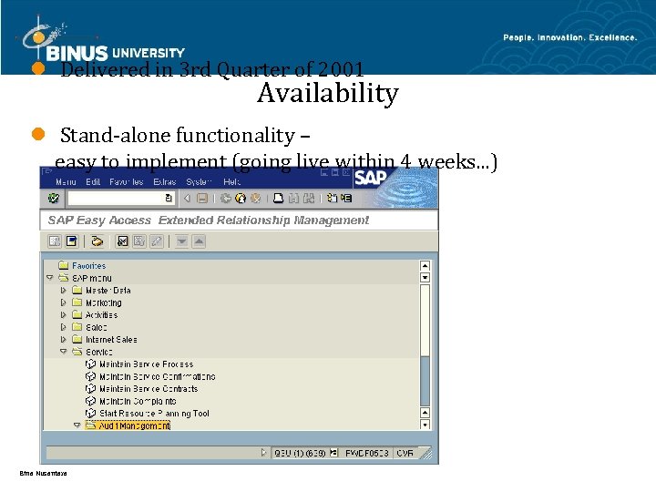 l Delivered in 3 rd Quarter of 2001 Availability l Stand-alone functionality – easy