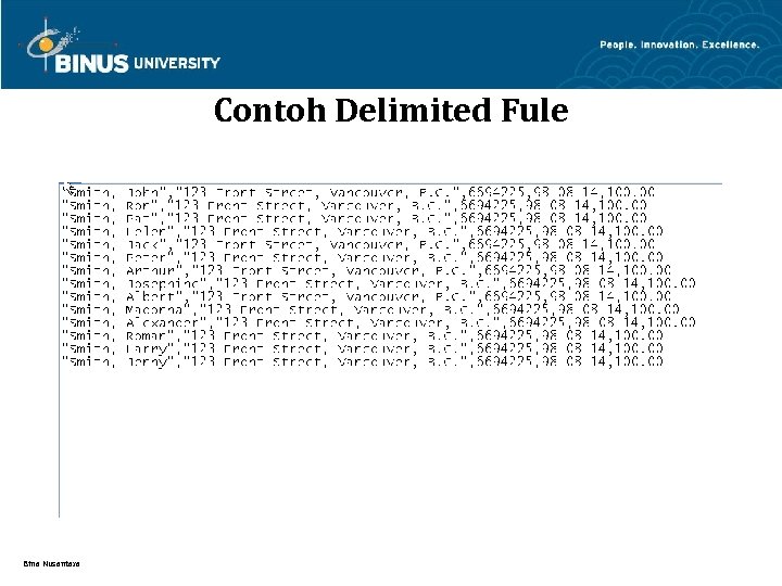 Contoh Delimited Fule Bina Nusantara 