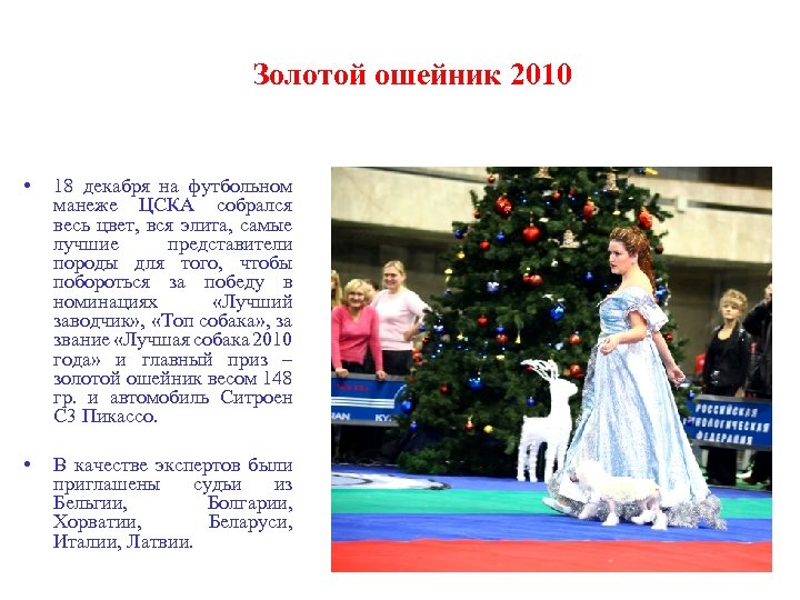 Золотой ошейник 2010 • 18 декабря на футбольном манеже ЦСКА собрался весь цвет, вся
