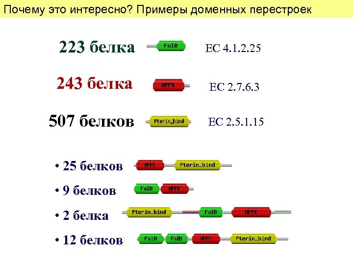 Почему это интересно? Примеры доменных перестроек 223 белка ЕС 4. 1. 2. 25 243