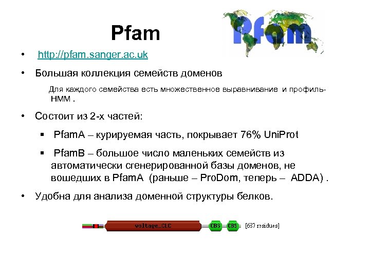 Pfam • http: //pfam. sanger. ac. uk • Большая коллекция семейств доменов Для каждого