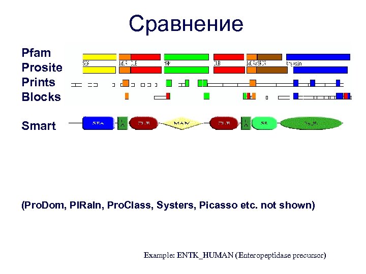 Сравнение Pfam Prosite Prints Blocks Smart (Pro. Dom, PIRaln, Pro. Class, Systers, Picasso etc.
