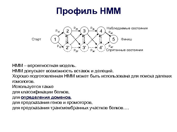 Профиль HMM P 12 Старт 2 P 23 3 P 34 4 1 Наблюдаемые