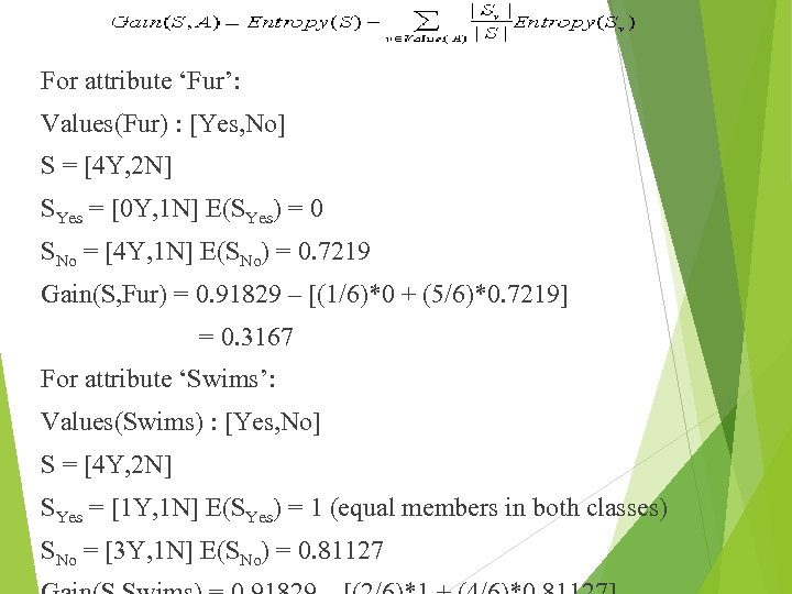 For attribute ‘Fur’: Values(Fur) : [Yes, No] S = [4 Y, 2 N] SYes