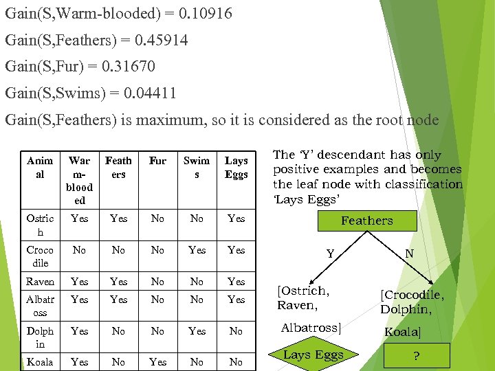 Gain(S, Warm-blooded) = 0. 10916 Gain(S, Feathers) = 0. 45914 Gain(S, Fur) = 0.