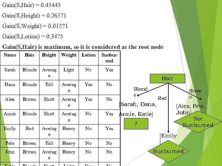 Gain(S, Hair) = 0. 45443 Gain(S, Height) = 0. 26571 Gain(S, Weight) = 0.