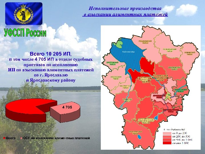 Исполнительные производства о взыскании алиментных платежей Всего 10 205 ИП, в том числе 4