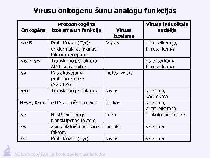 Vīrusu onkogēnu šūnu analogu funkcijas 