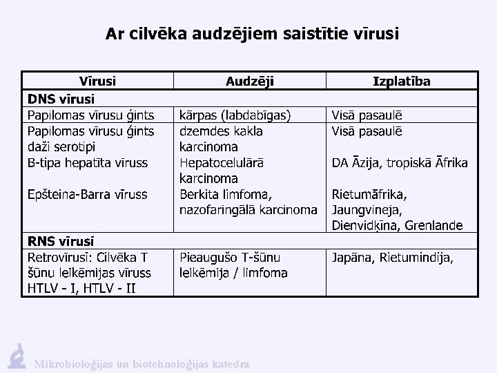 Ar cilvēka audzējiem saistītie vīrusi 