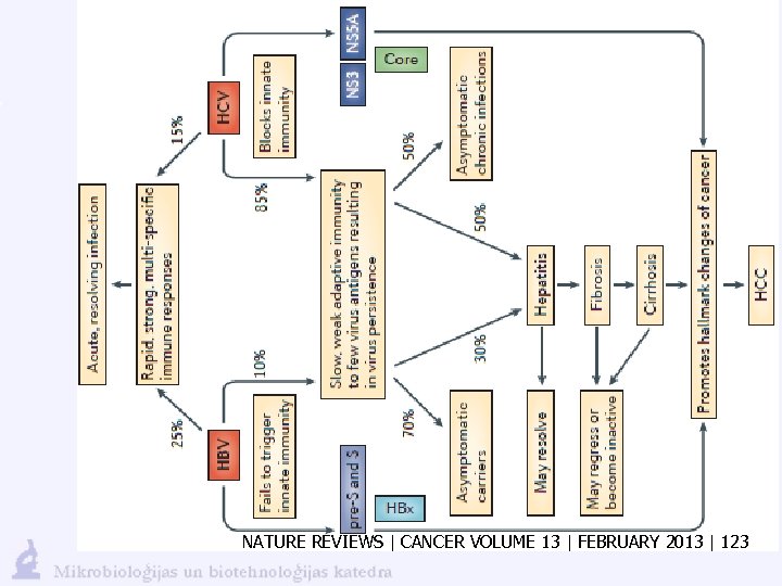 NATURE REVIEWS | CANCER VOLUME 13 | FEBRUARY 2013 | 123 