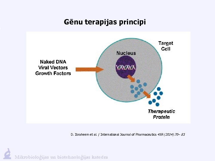 Gēnu terapijas principi D. Ibraheem et al. / International Journal of Pharmaceutics 459 (2014)