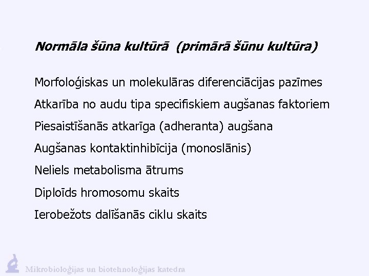 Normāla šūna kultūrā (primārā šūnu kultūra) Morfoloģiskas un molekulāras diferenciācijas pazīmes Atkarība no audu