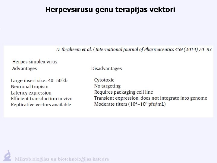 Herpevsīrusu gēnu terapijas vektori 