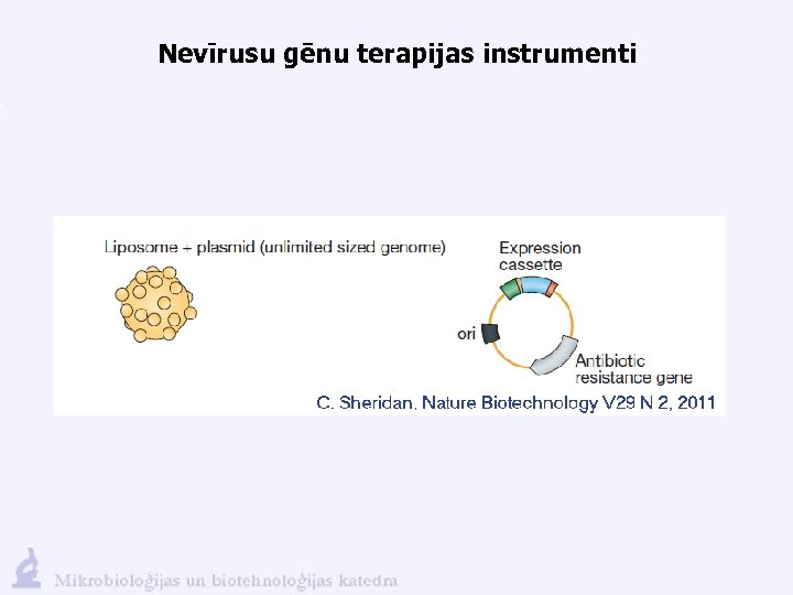 Nevīrusu gēnu terapijas instrumenti 