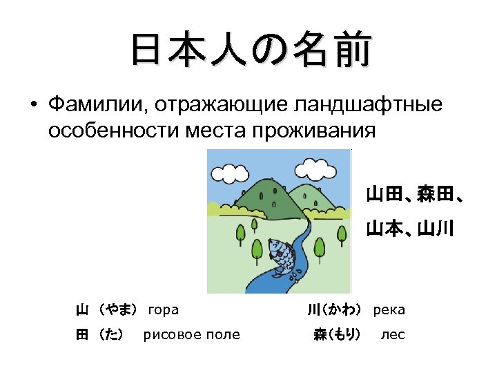 日本人の名前 • Фамилии, отражающие ландшафтные особенности места проживания 山田、森田、 山本、山川 山　（やま）　гора　　　　　　　川（かわ） река 田　（た）　　рисовое поле　　　　森（もり）　　лес
