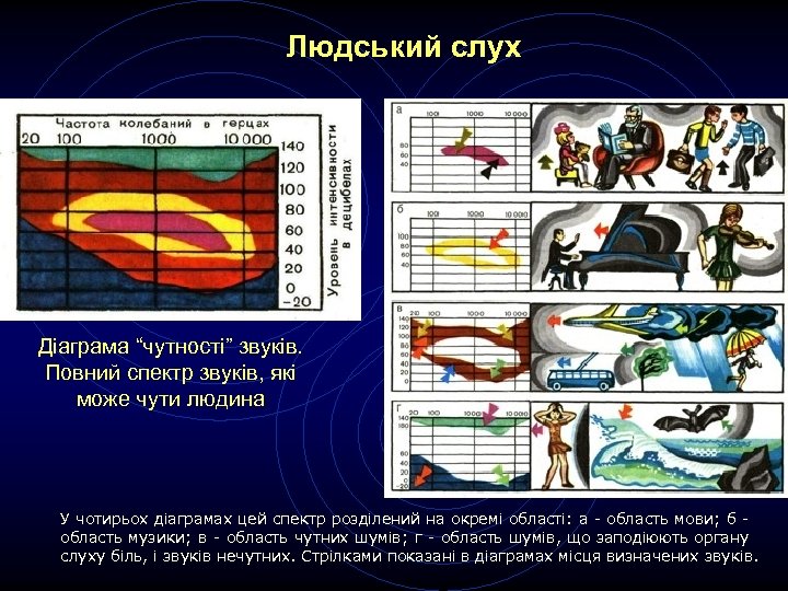 Людський слух Діаграма “чутності” звуків. Повний спектр звуків, які може чути людина У чотирьох