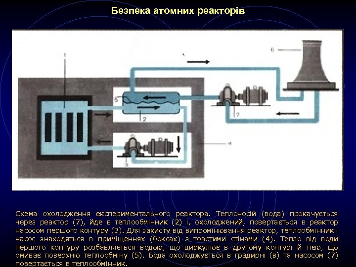 Безпека атомних реакторів Схема охолодження експериментального реактора. Теплоносій (вода) прокачується через реактор (7), йде