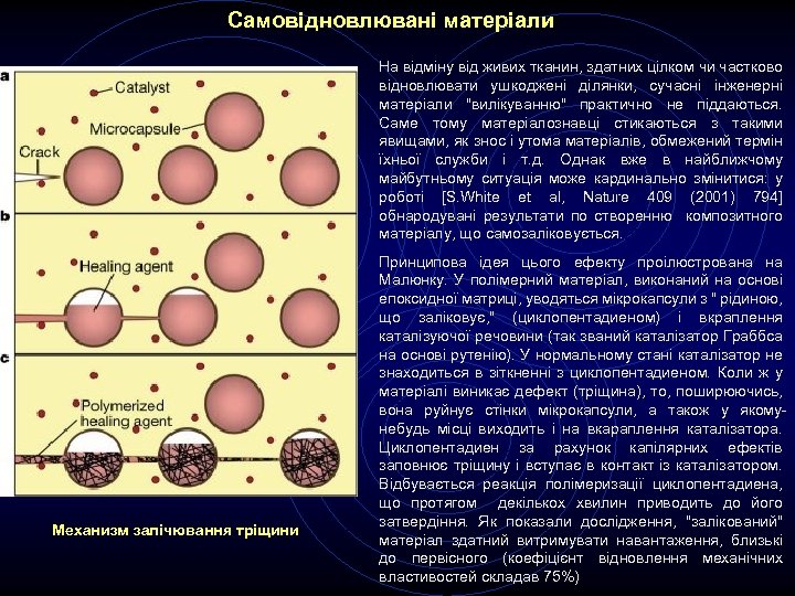 Самовідновлювані матеріали На відміну від живих тканин, здатних цілком чи частково відновлювати ушкоджені ділянки,