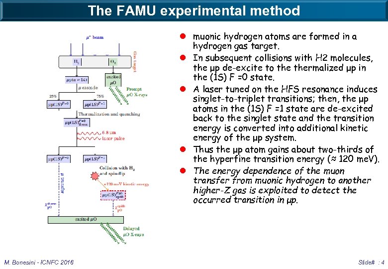 The FAMU experimental method l muonic hydrogen atoms are formed in a hydrogen gas