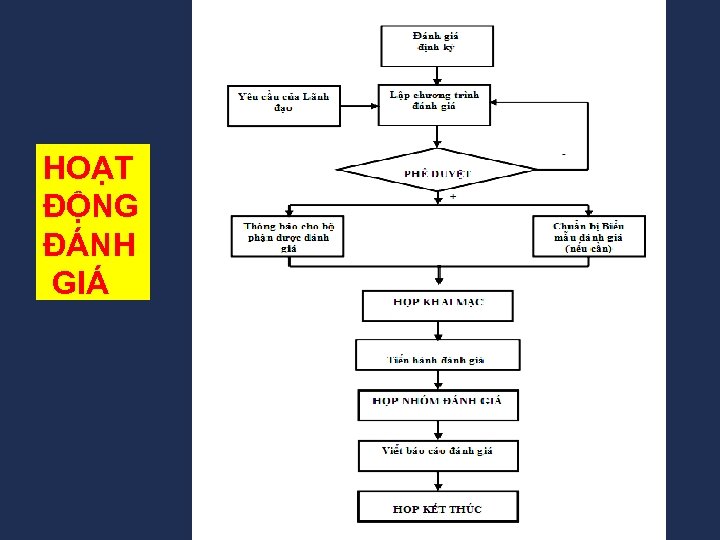 HOẠT ĐỘNG ĐÁNH GIÁ 