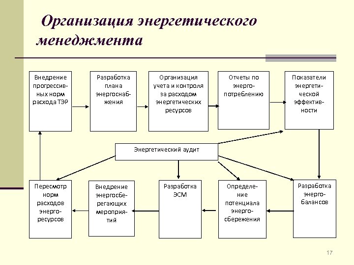 Организация энергетического менеджмента Внедрение прогрессивных норм расхода ТЭР Разработка плана энергоснабжения Организация учета и